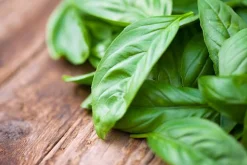 Basil - Soy Tarts