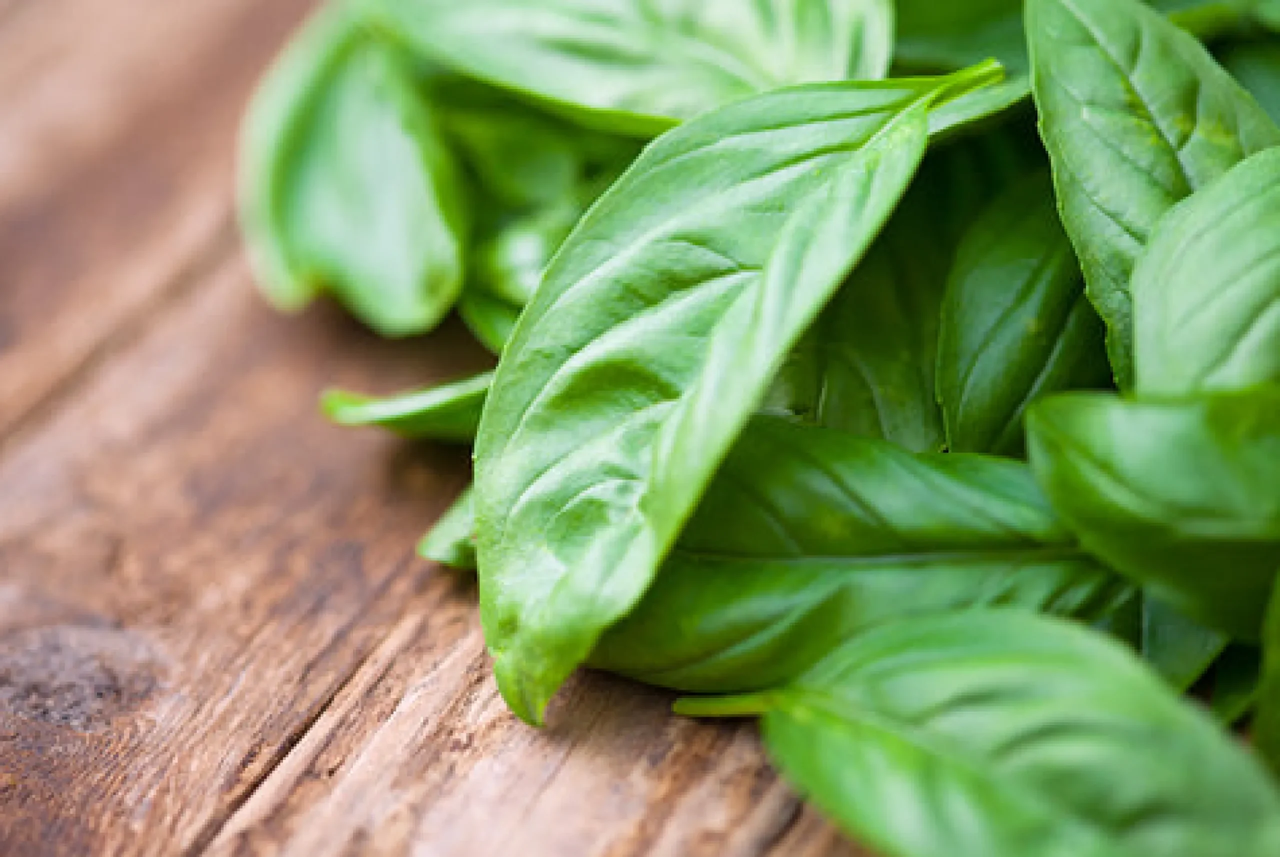 Basil Scented Candle