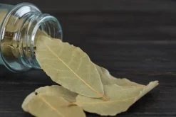 Bay Leaf - Reed Diffuser