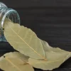 Bay Leaf - Soy Tarts