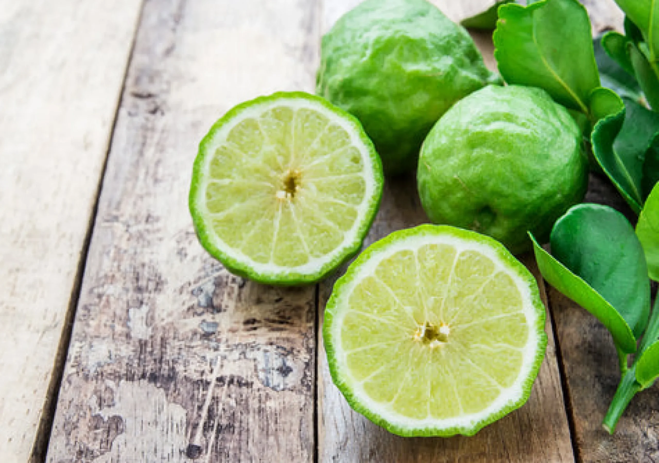 Bergamot Scented Candle