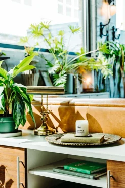 Bonsai Scented Candle