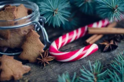 Candy Cane - Reed Diffuser