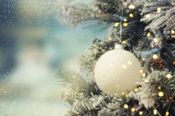 Christmas Tree - Reed Diffuser
