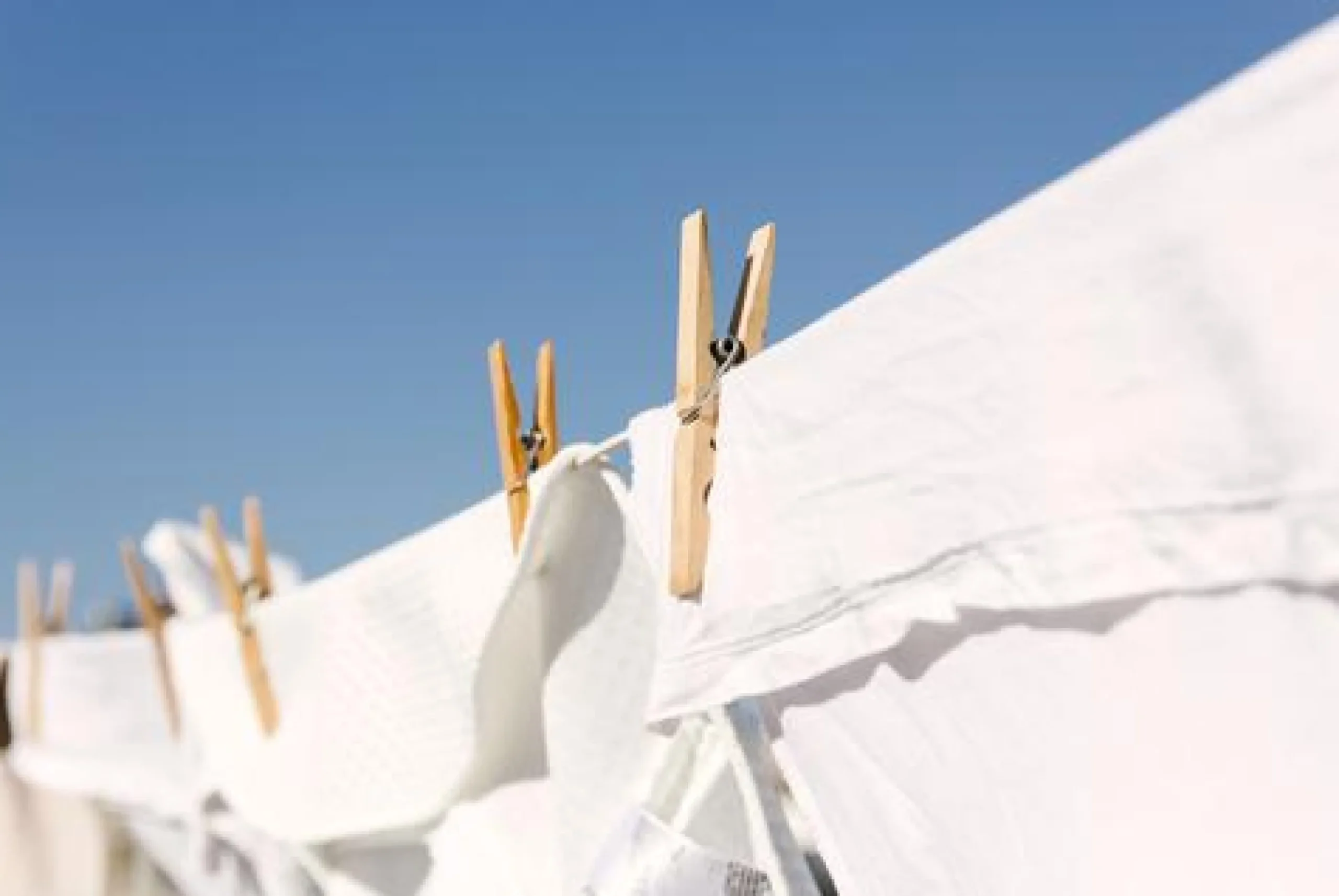 Clothesline - Soy Tarts
