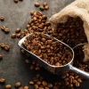 Coffee - Soy Tarts
