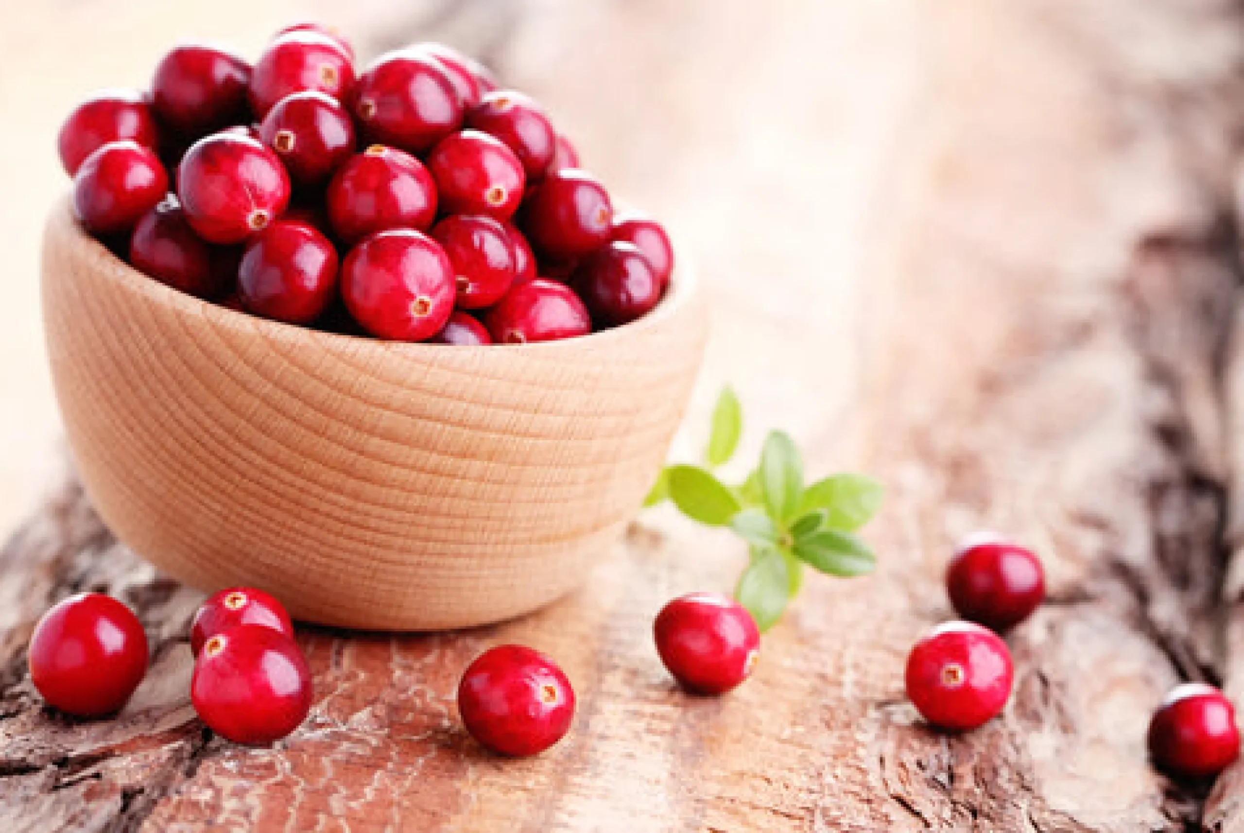 Cranberry - Reed Diffuser