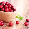 Cranberry - Soy Tarts