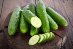 Cucumber - Soy Tarts