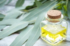 Eucalyptus Scented Candle