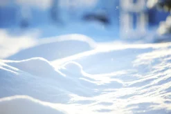 First Snow Scented Candle