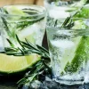 Gin & Tonic - Soy Tarts