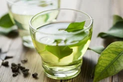 Green Tea - Soy Tarts
