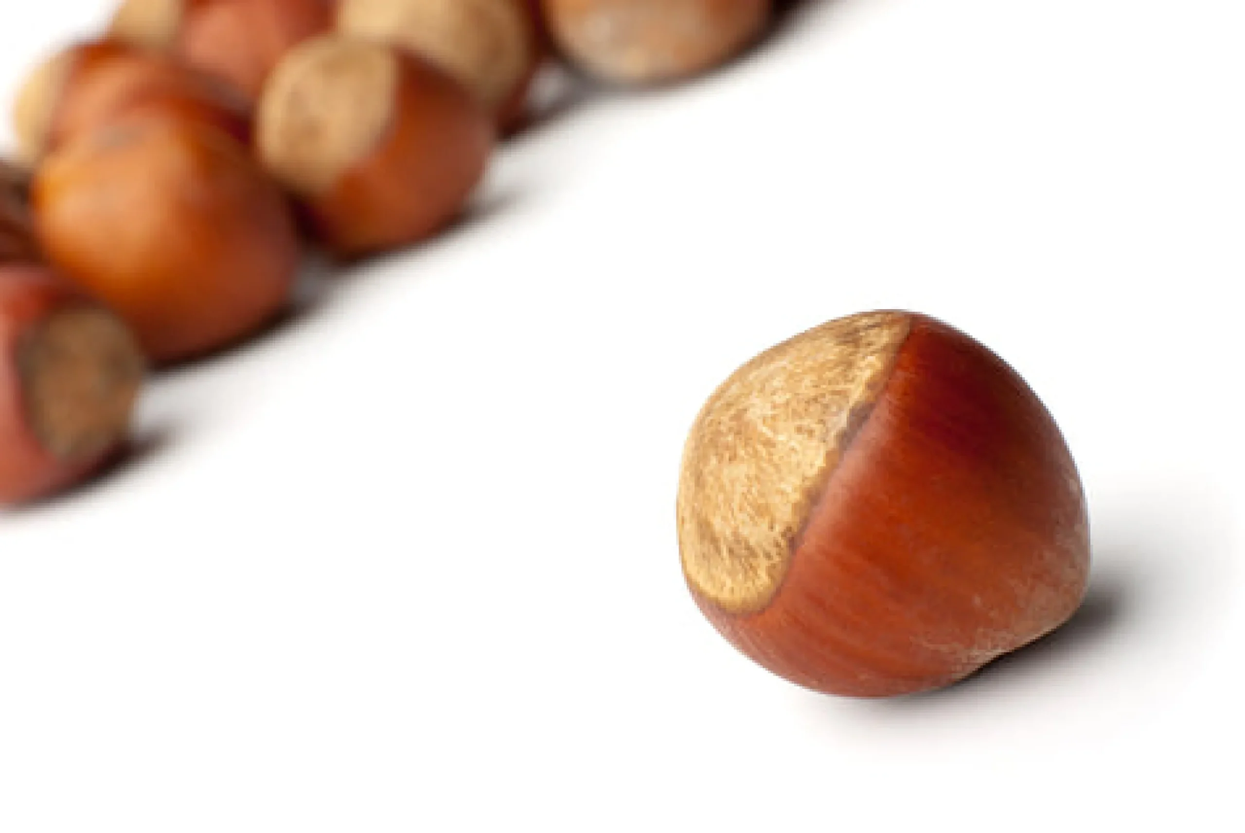 Hazelnut Scented Candle