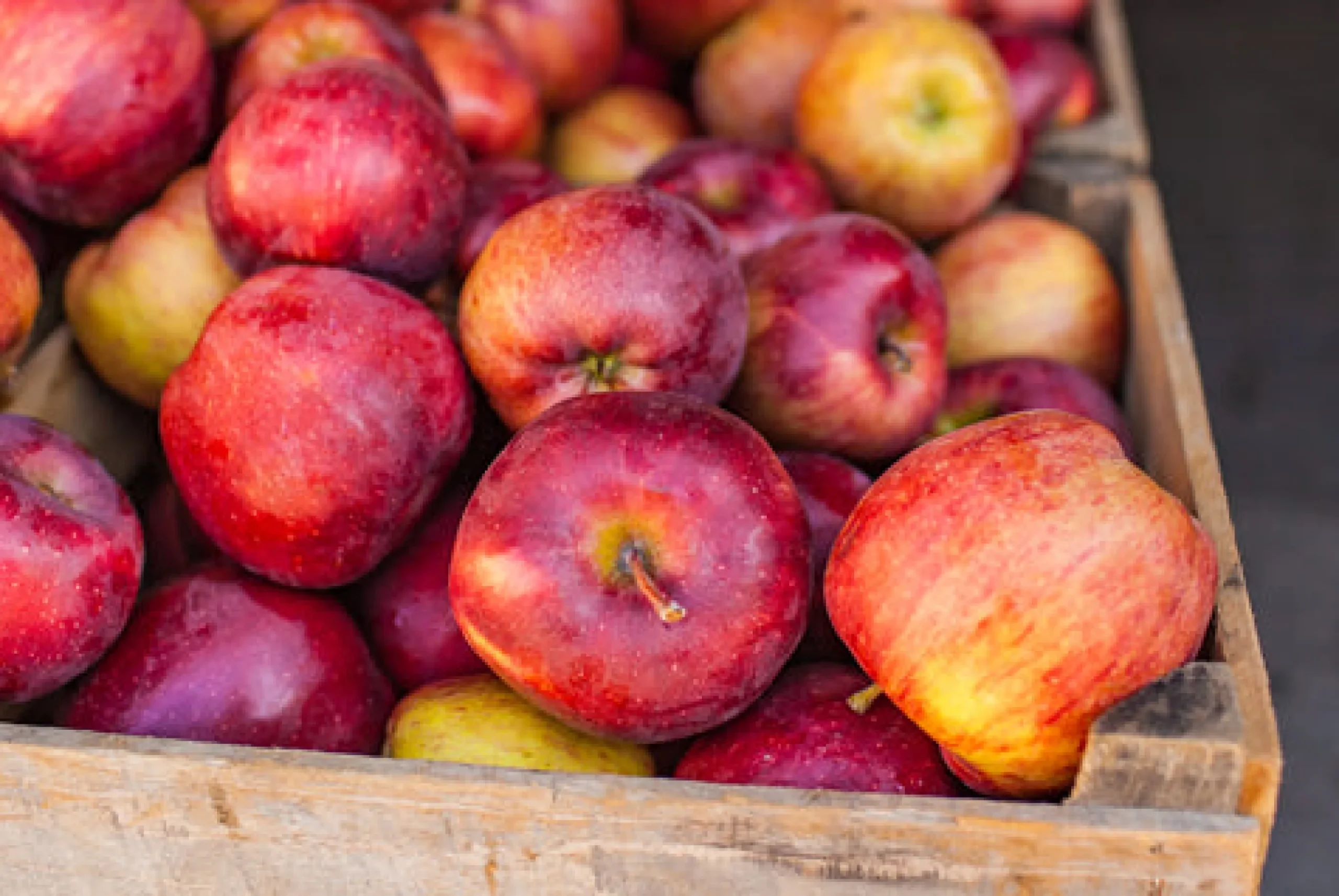 Honeycrisp - Reed Diffuser