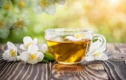 Jasmine Tea - Soy Tarts