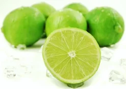 Key Lime - Soy Tarts