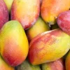 Mango - Soy Tarts
