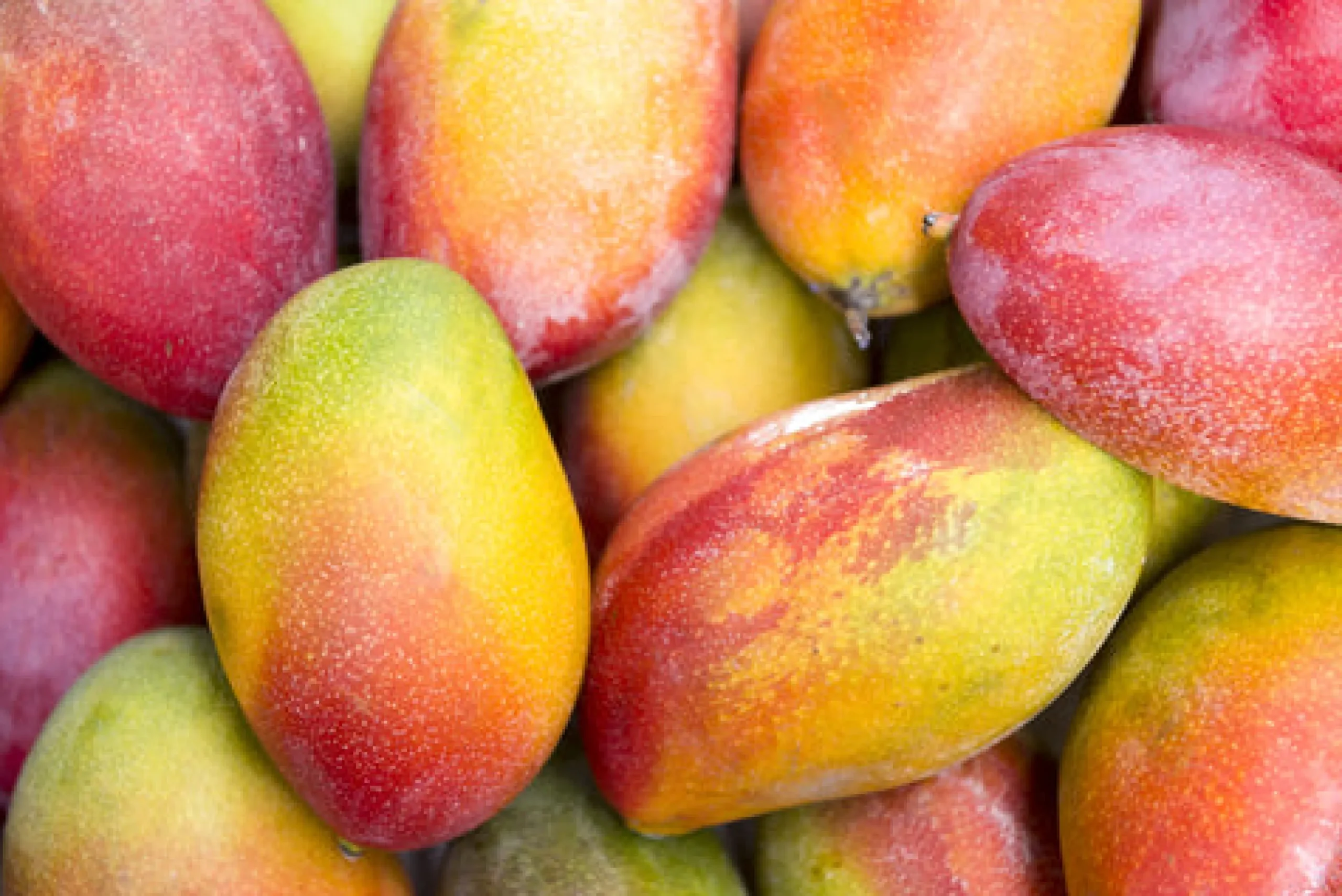 Mango Scented Candle
