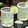 Margarita - Soy Tarts