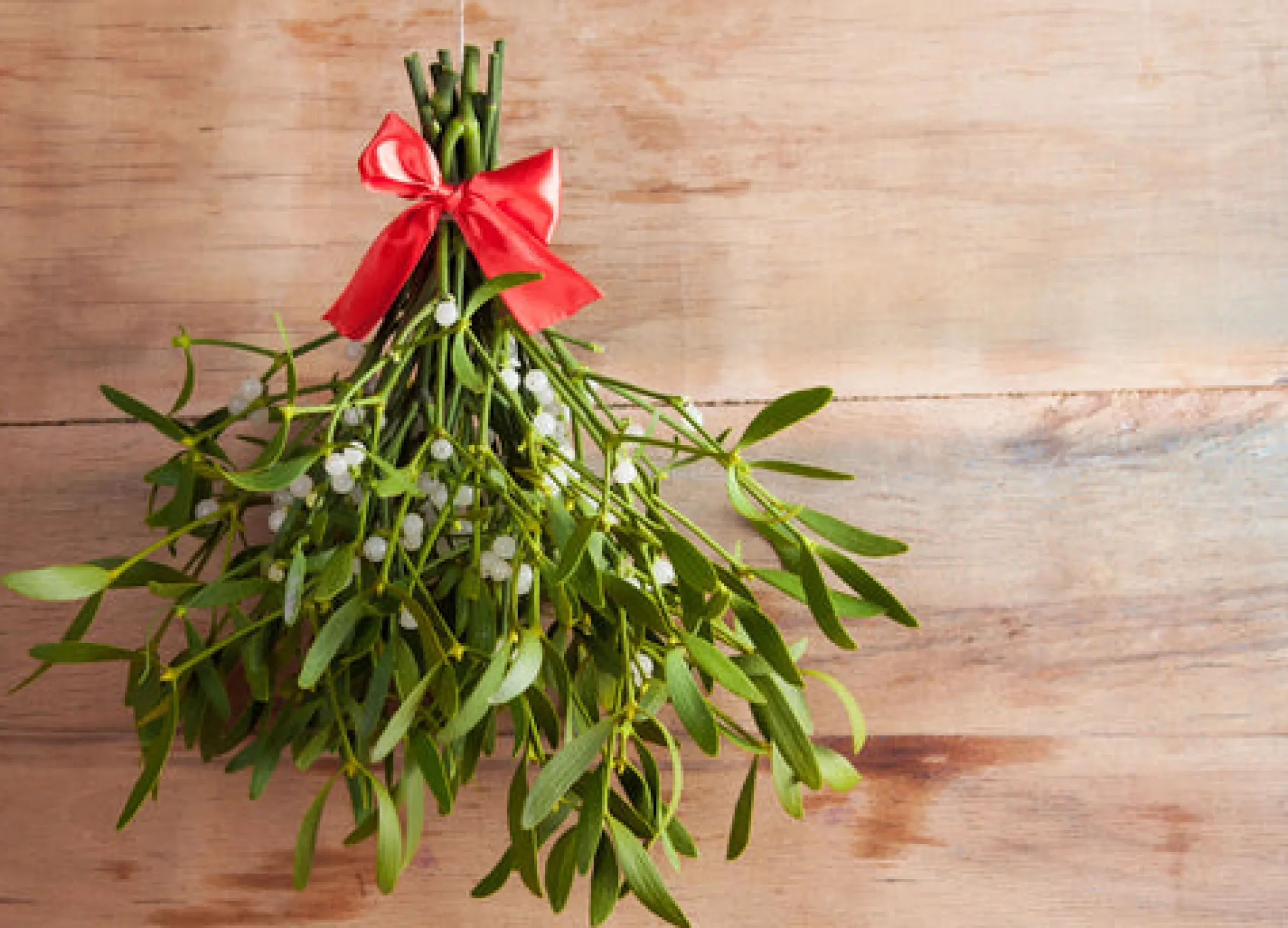 Mistletoe - Reed Diffuser