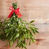 Mistletoe - Soy Tarts