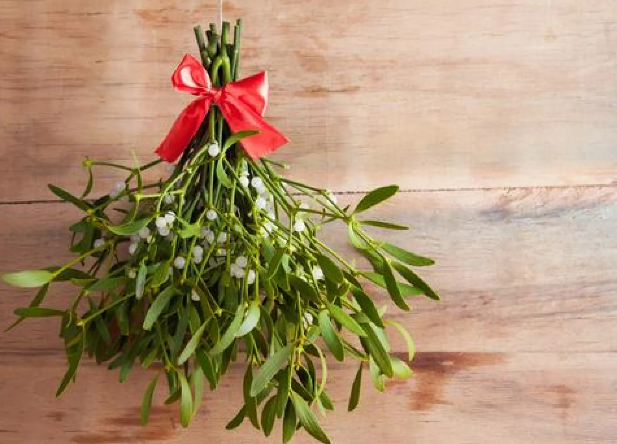 Mistletoe - Soy Tarts