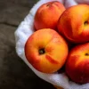 Peach - Soy Tarts
