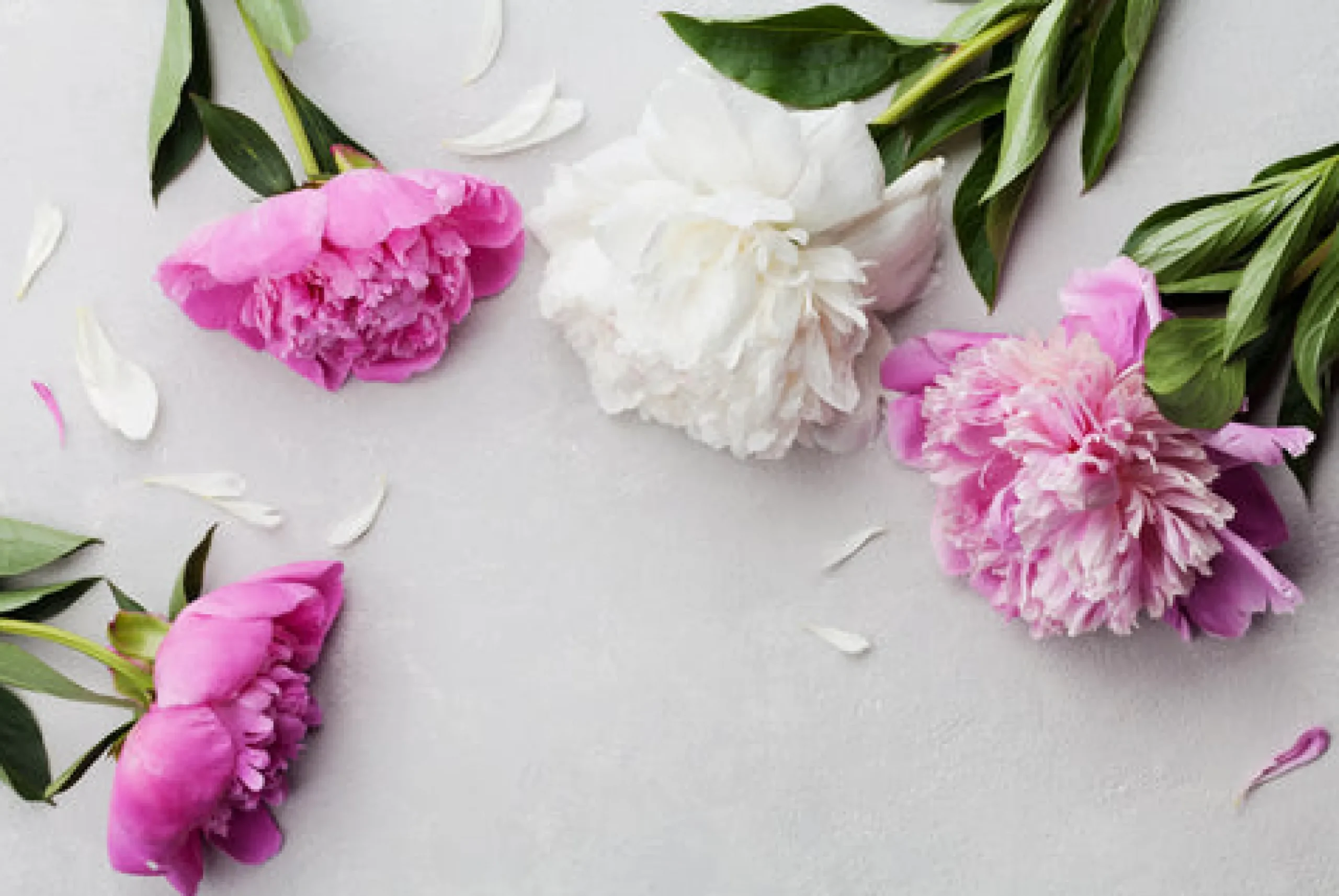 Peony - Reed Diffuser
