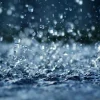 Rain - Soy Tarts