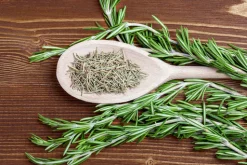 Rosemary - Candle