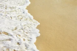 Sea Foam - Reed Diffuser