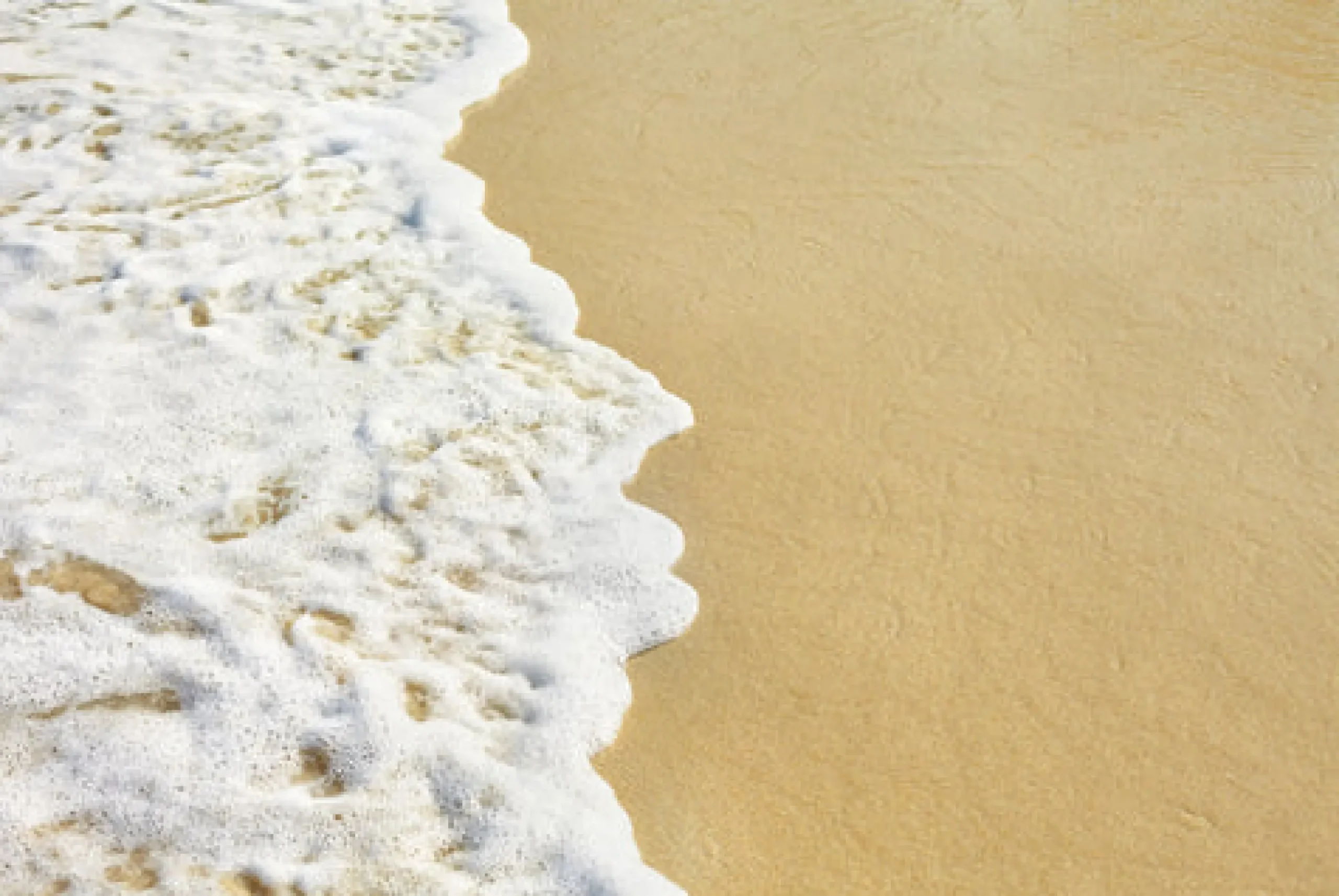 Sea Foam - Reed Diffuser