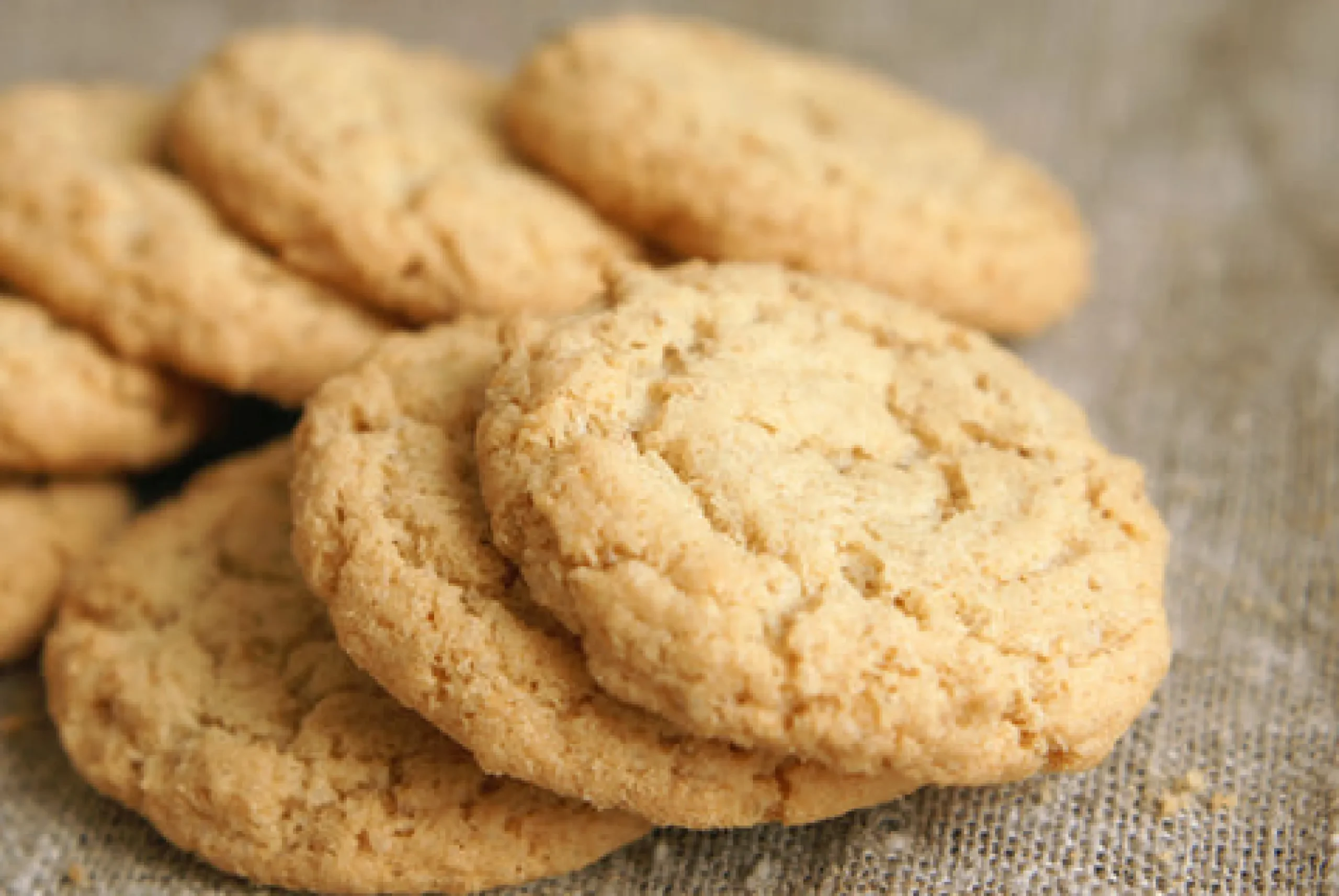 Sugar Cookie Scented Candle