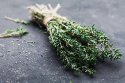 Thyme - Candle