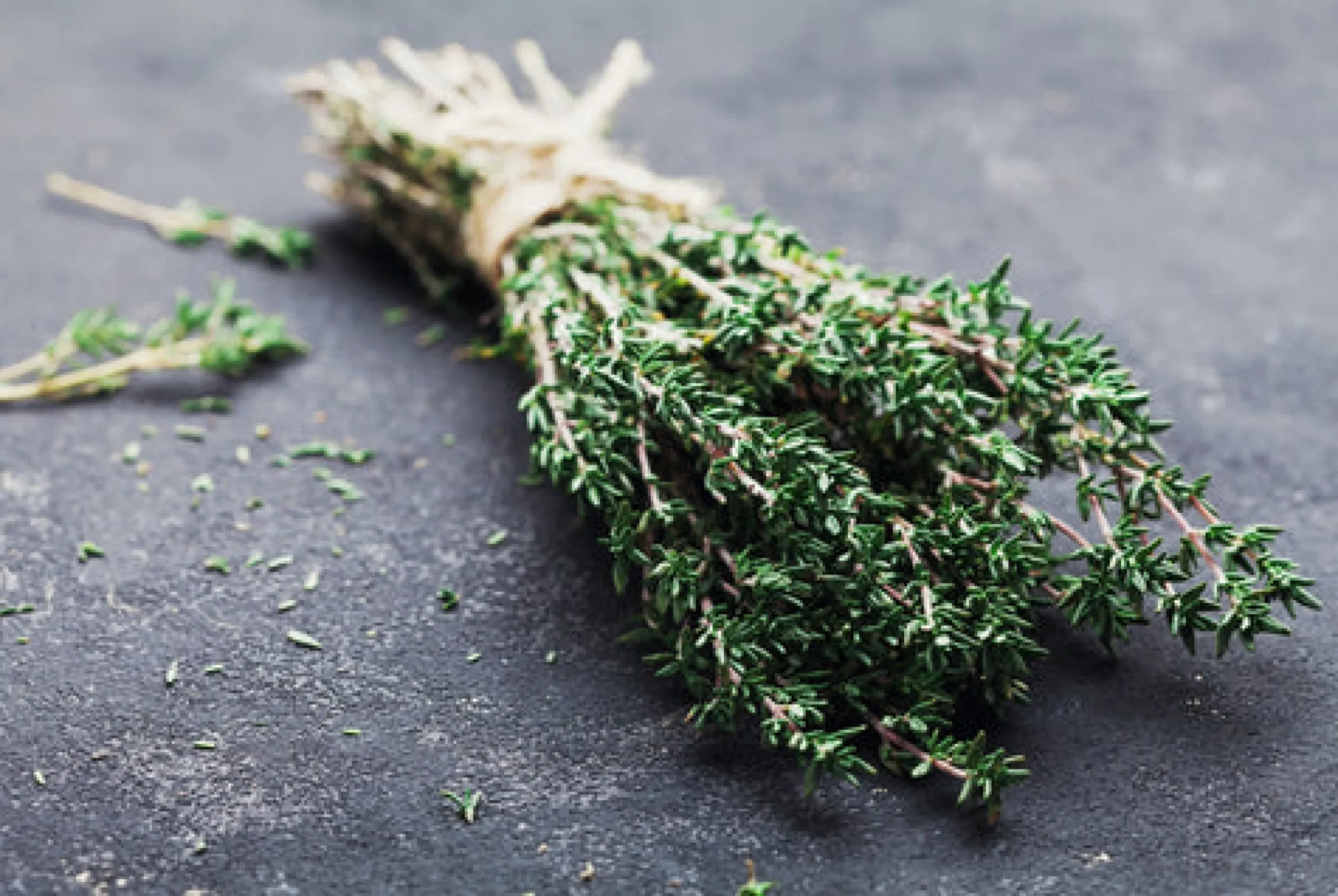 Thyme - Candle