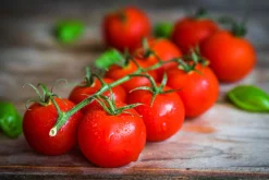 Tomato Leaf - Reed Diffuser