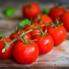 Tomato Leaf - Soy Tarts