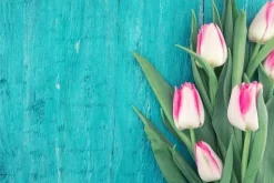 Tulip - Reed Diffuser