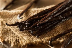 Vanilla Bean - Reed Diffuser